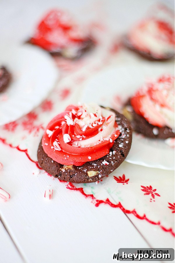 Cookies close-up