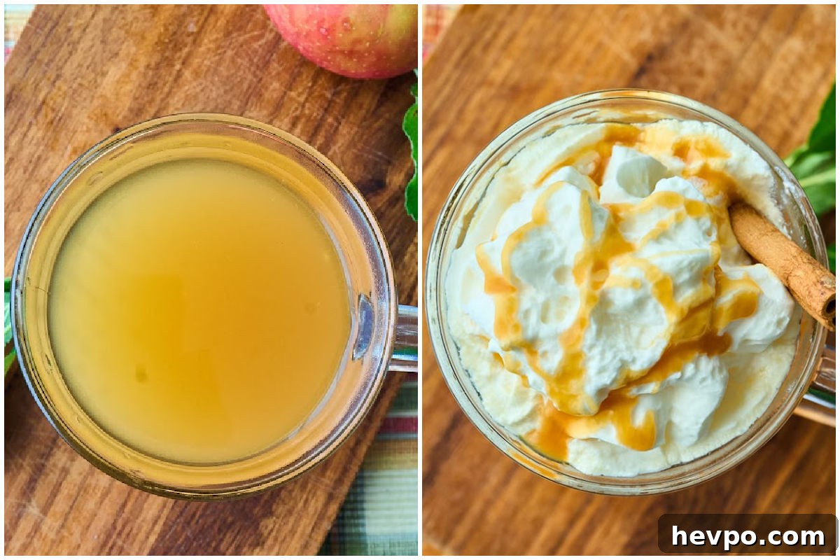 Spiked Slow Cooker Apple Cider Recipe for Cozy Gatherings 5 glass of cider plain and with whipped cream