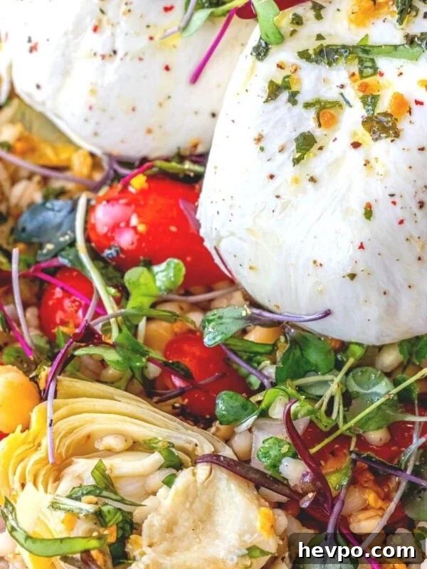 burrata barley salad in a white bowl with microgreens, artichoke hearts, and tomatoes