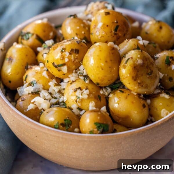 A bowl filled with seasoned chive potatoes, garnished with chopped herbs and minced garlic, makes a delicious garlic potatoes dish.