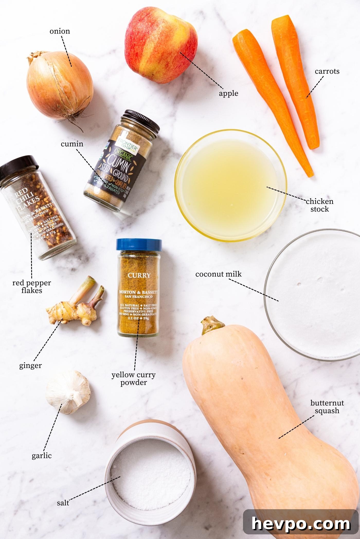 Marble surface filled with all the ingredients needed to prepare butternut squash soup including squash, carrots, onion, apple, spices, salt, and more.