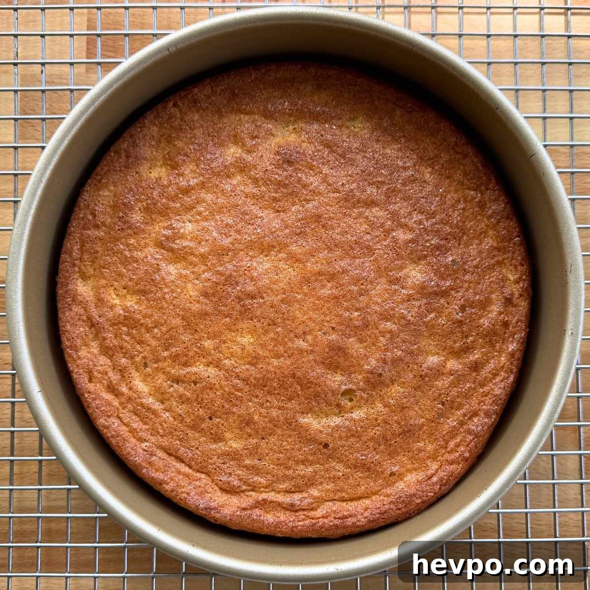Cooked flourless lemon almond cake in a 9-inch cake pan on a sheetpan.