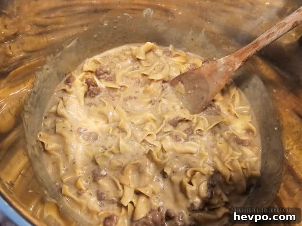 Served Instant Pot Ground Beef Stroganoff