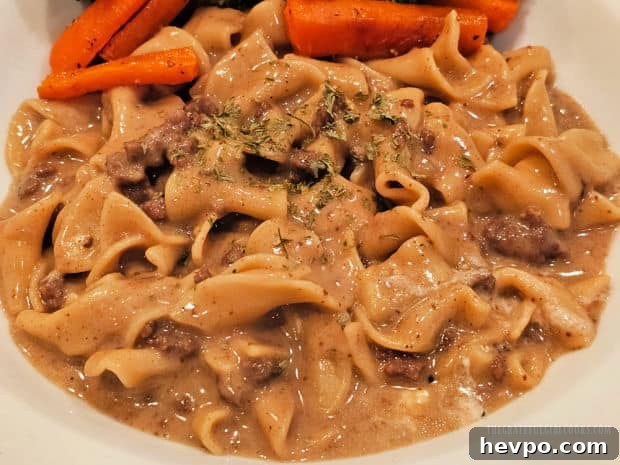 Final stroganoff plated with garnish