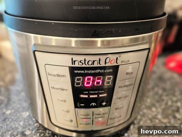 Instant Pot cooking the stroganoff