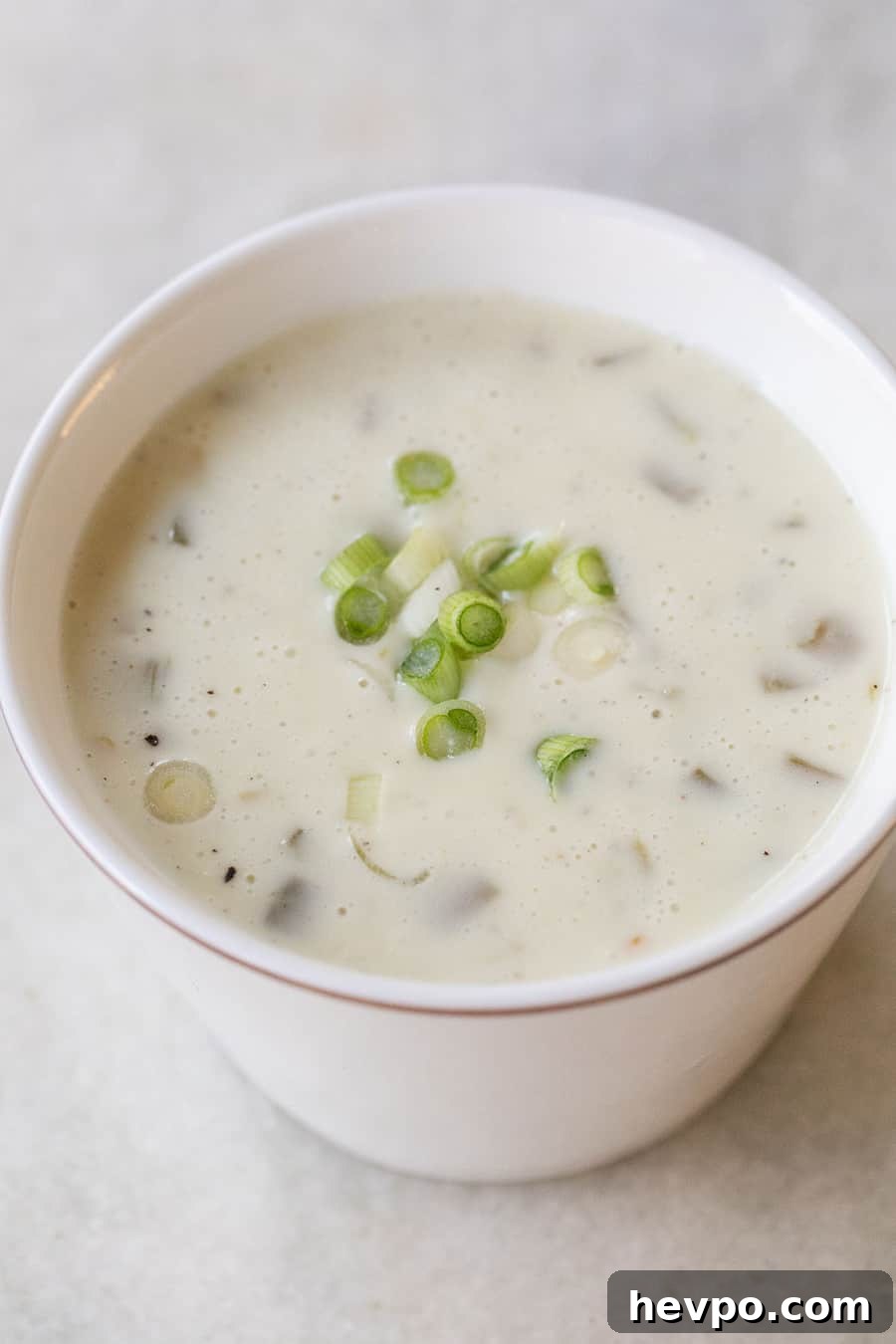 White queso dip with green onions