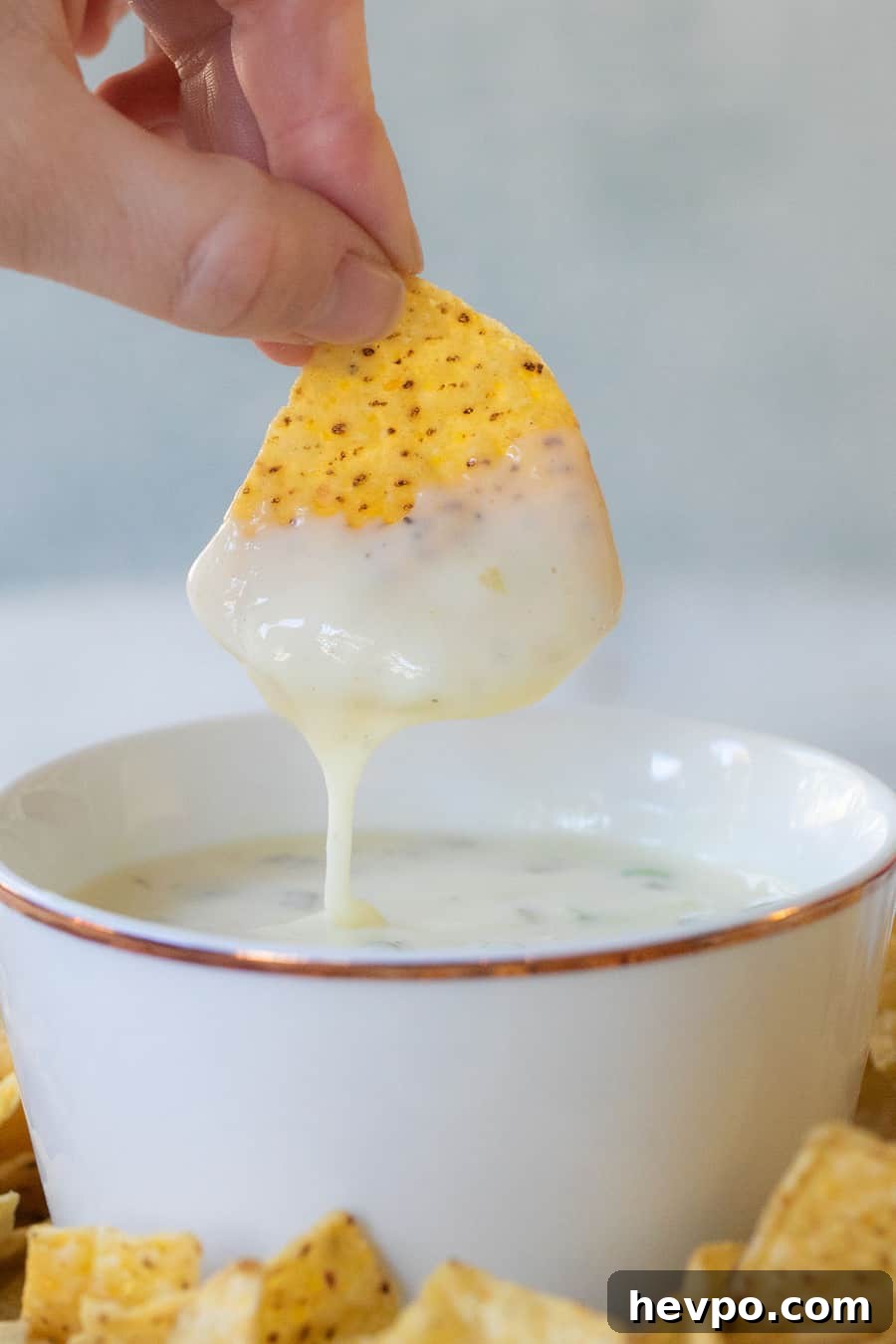Dipping a chip into Queso Blanco