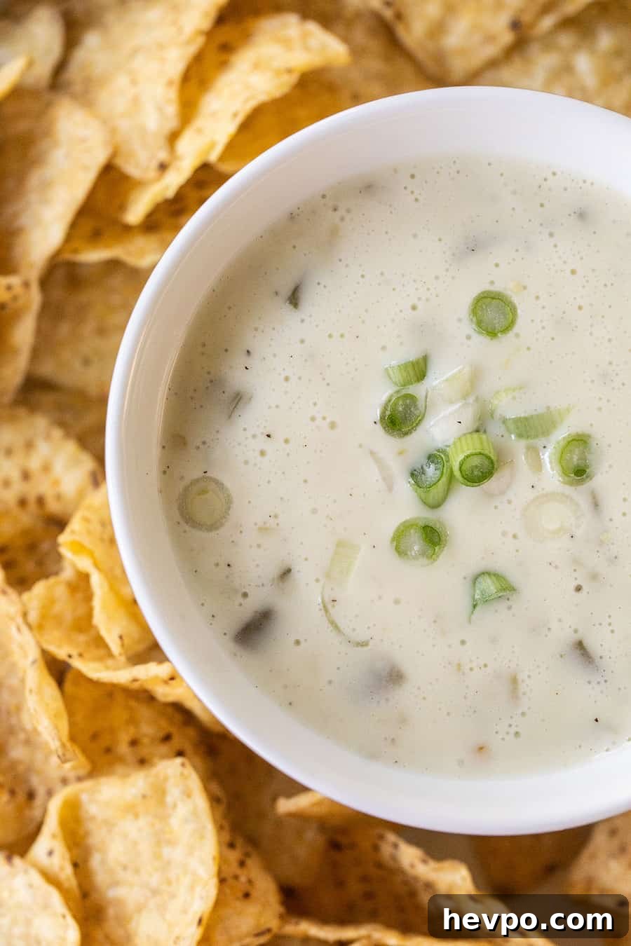 White cheese dip with green onions