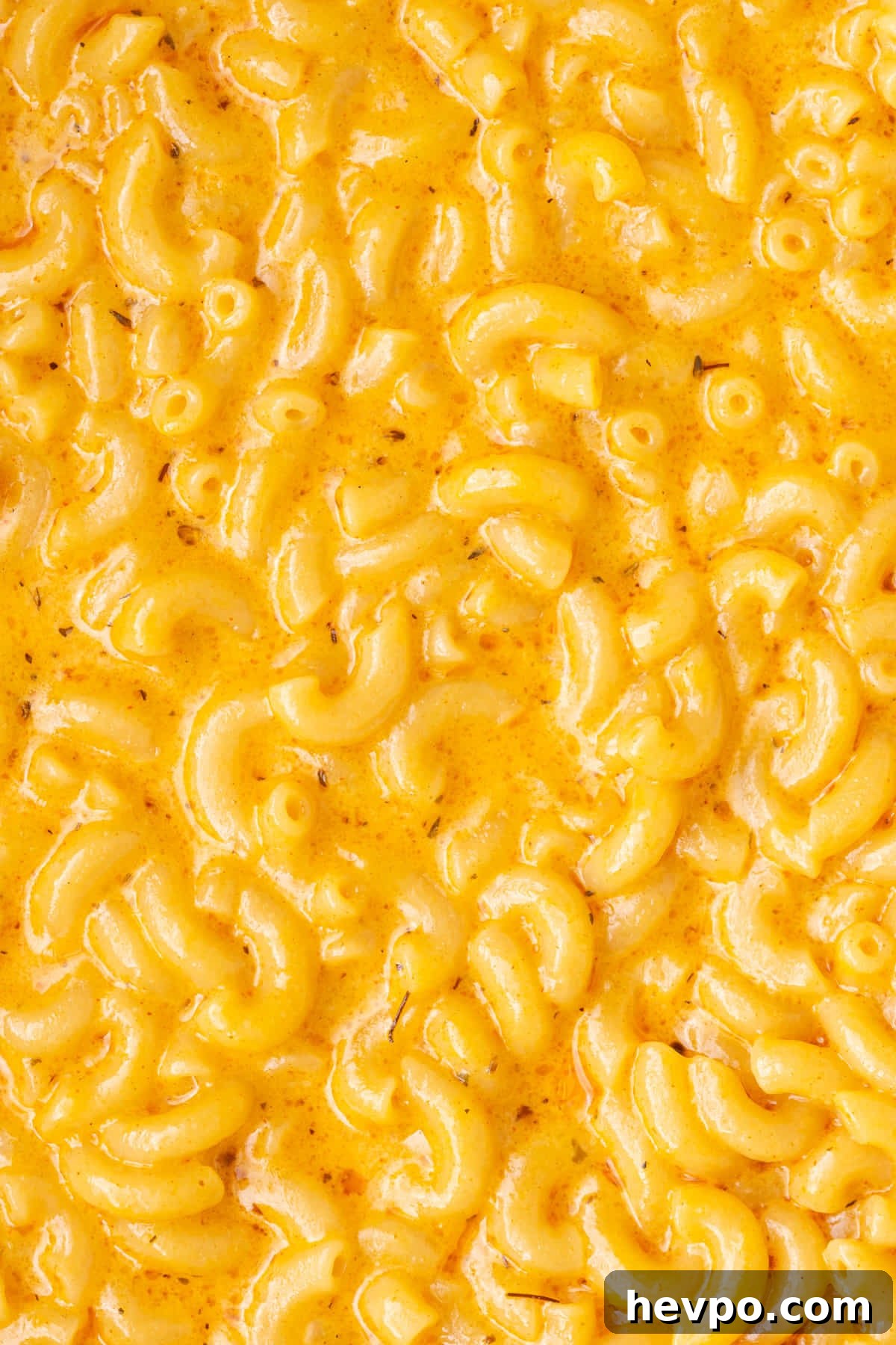 Close up of macaroni and cheese with Cajun seasoning. 