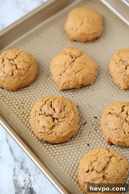 Gluten-Free Frosted Ginger Cookies Recipe — Soft, Spiced Treats 11 gluten-free ginger cookies on baking sheet