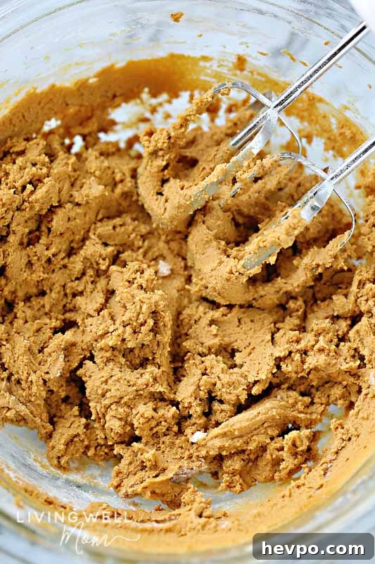Gluten-Free Frosted Ginger Cookies Recipe — Soft, Spiced Treats 9 combining cookie dough with mixer