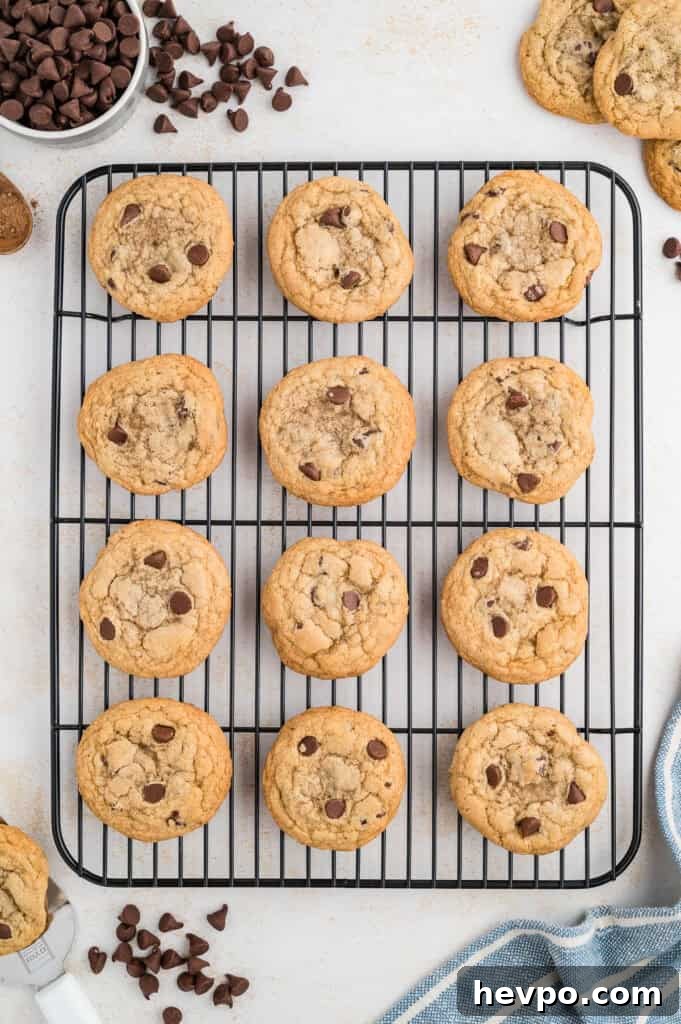 Gluten-Free Chocolate Chip Cookies Loved by Non-GF Eaters 11 Gluten free chocolate chip cookies on a wire rack with chocolate chips off to the side.