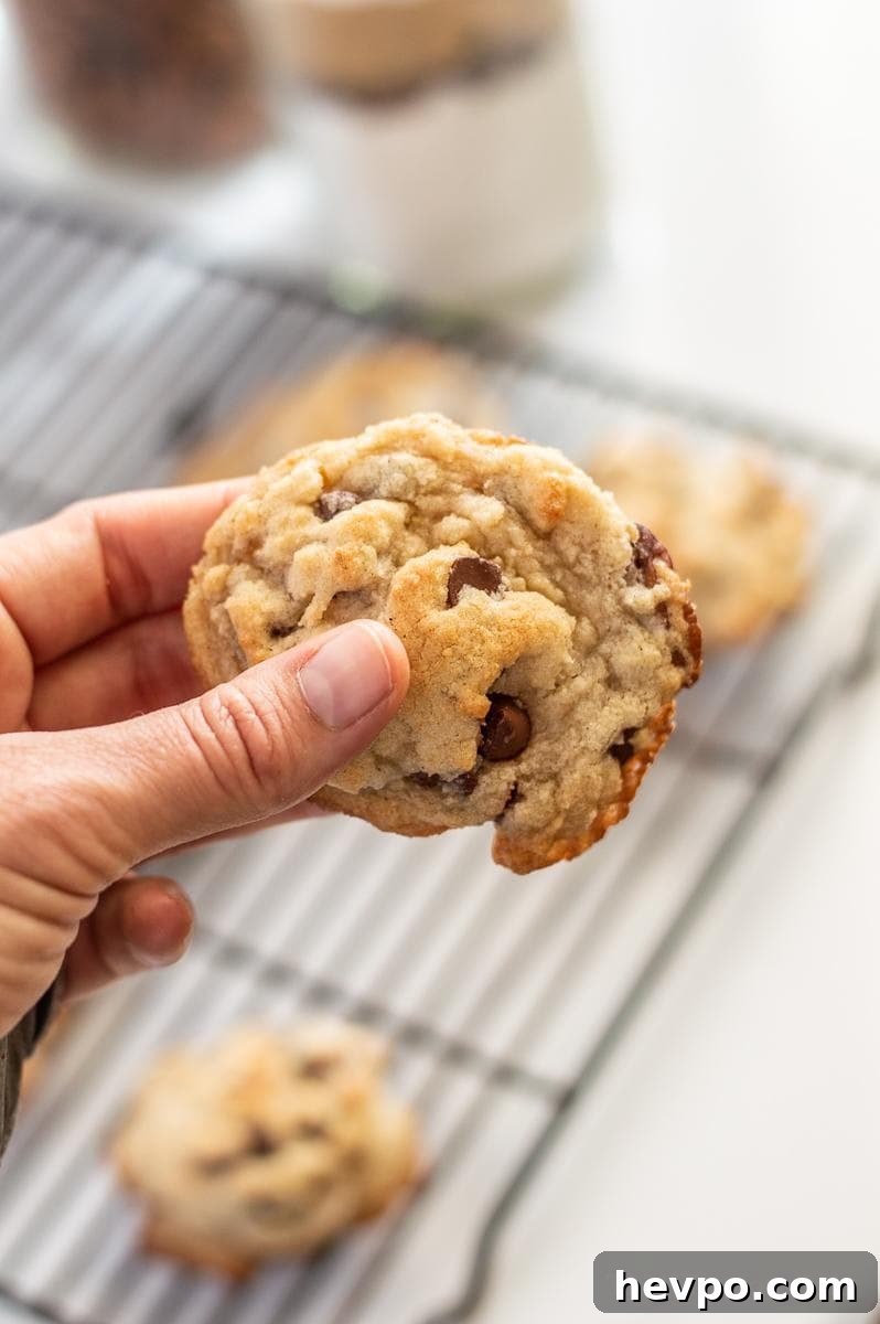 BEST Gluten-Free Chocolate Chip Cookies (In a Jar Option) Hand holding a gluten-free chocolate chip cookie