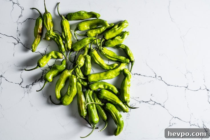 shishito peppers overhead