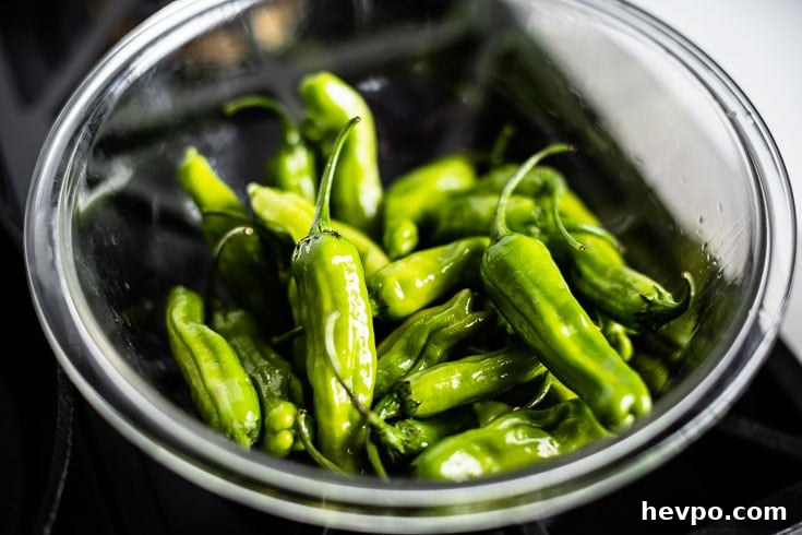 shishito peppers oiled in bowl