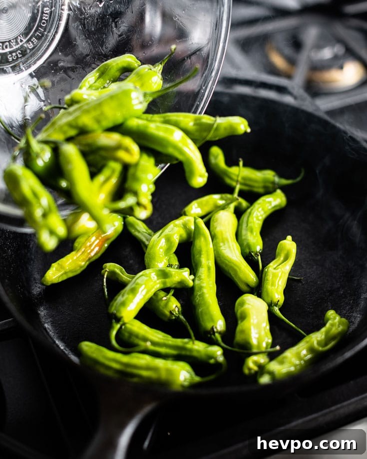 shishito peppers going into skillet