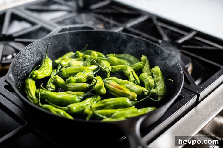 blistered shishito peppers in cast iron skillet 3
