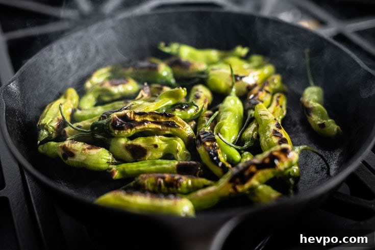 blistered shishito peppers in cast iron skillet 1