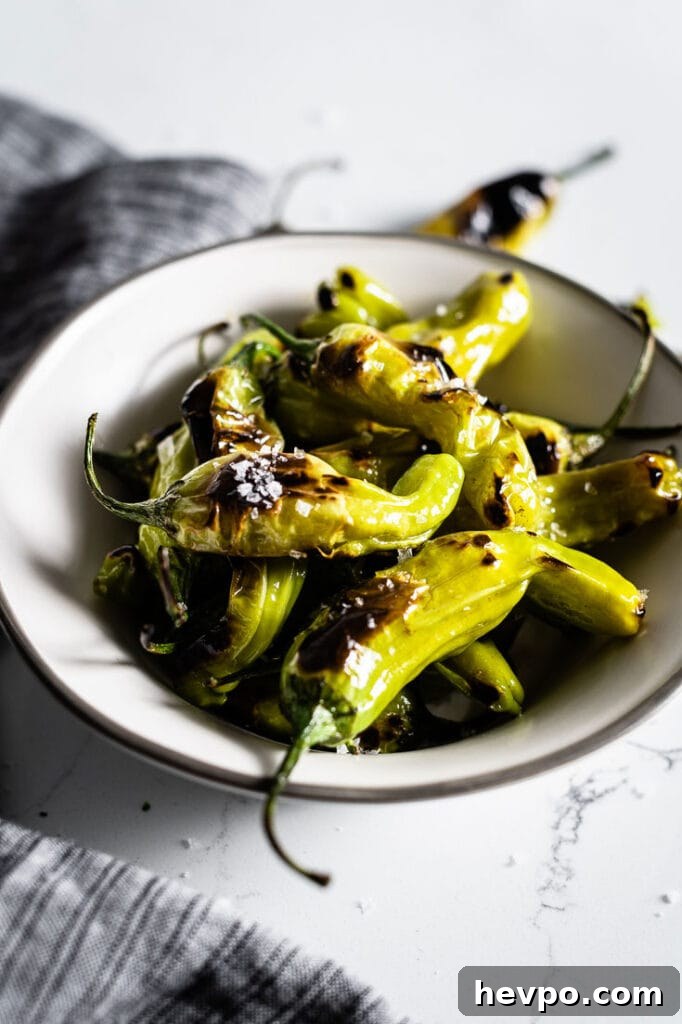 blistered shishito peppers in bowl 3