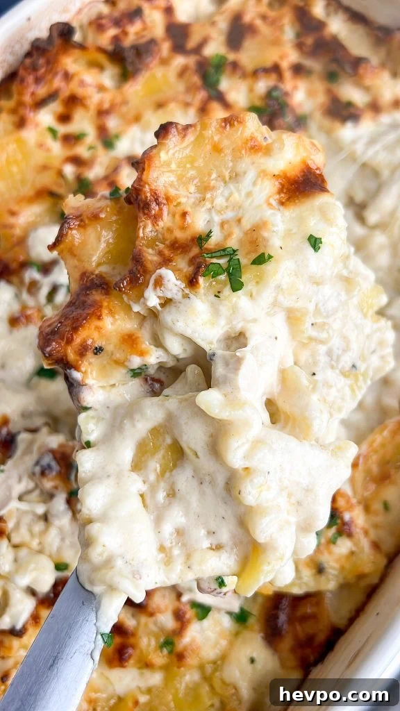 Creamy Baked Chicken Alfredo Casserole Recipe 2 Baked chicken alfredo