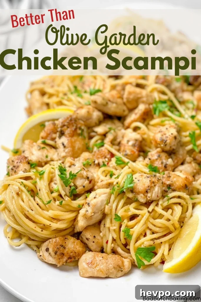 Creamy Baked Chicken Alfredo Casserole Recipe 11 Better Than Olive Garden Chicken Scampi Recipe