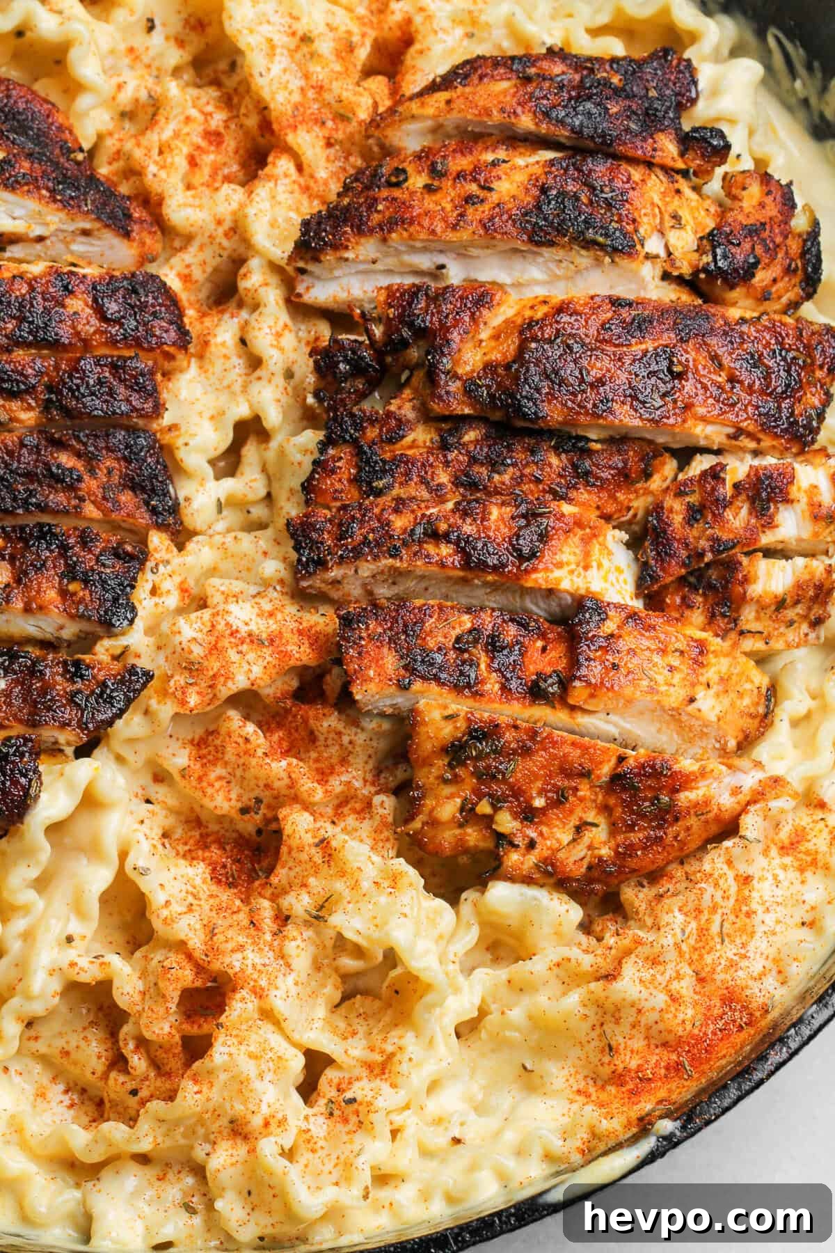 Creamy Baked Chicken Alfredo Casserole Recipe 12 blackened cajun chicken alfredo