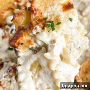 Creamy Baked Chicken Alfredo Casserole Recipe 14 Baked chicken alfredo