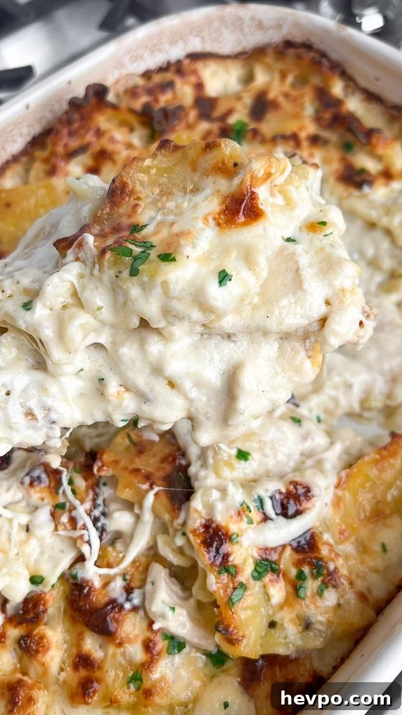 Creamy Baked Chicken Alfredo Casserole Recipe 3 Baked chicken alfredo