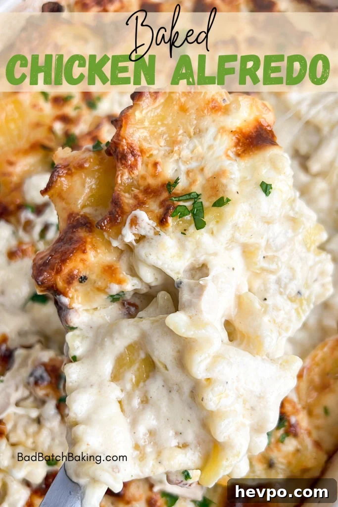 Creamy Baked Chicken Alfredo Casserole Recipe 6 Baked chicken alfredo