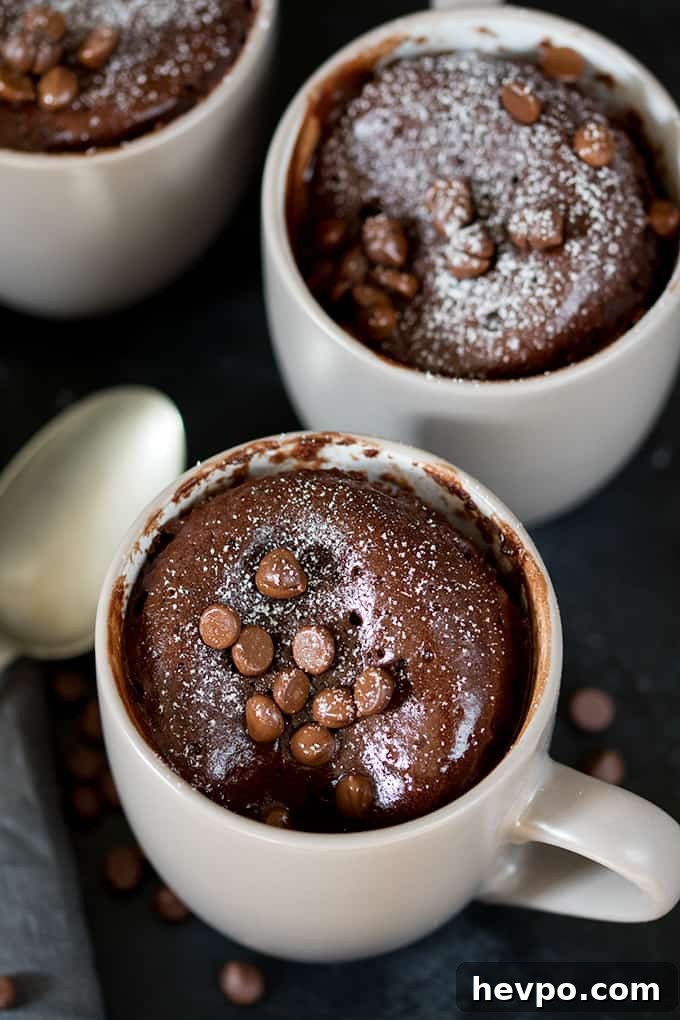 Quick Chocolate Caramel Mug Cake Recipe in 5 Minutes 3 Chocolate Caramel Mug Cake