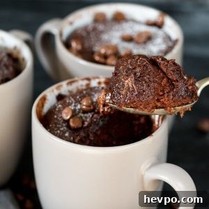 Quick Chocolate Caramel Mug Cake Recipe in 5 Minutes 5 img 6409 4