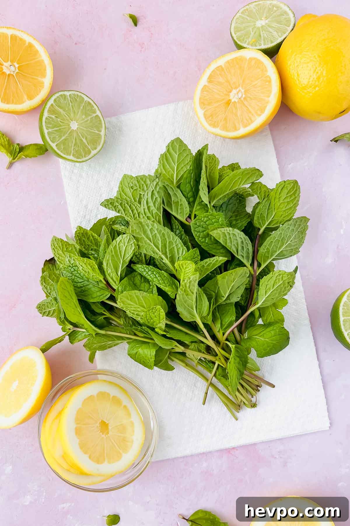 Lemonade Mojito Recipe: Refreshing Low-Calorie Twist 4 fresh mint washed and patted dry on a paper towel on pink background.