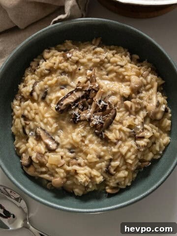Mushroom truffle risotto in a bowl.