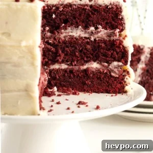 Red Velvet Cake by The BakerMama