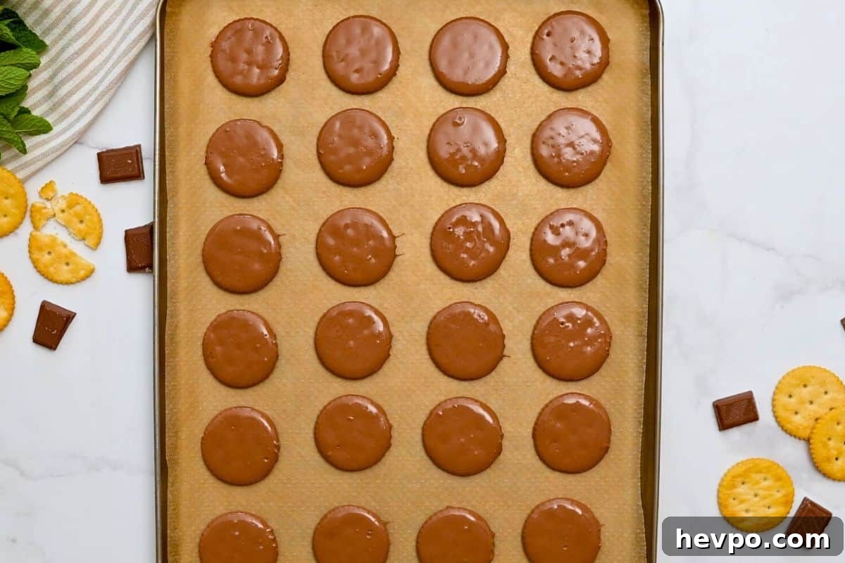 Chocolate-dipped butter crackers cooling on parchment