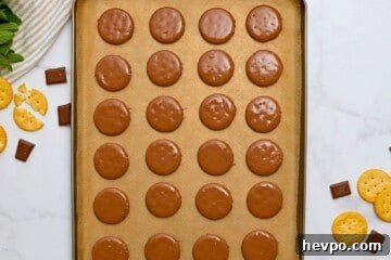 Chocolate-coated crackers cooling on parchment paper