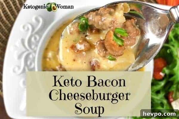 Spoon shot bacon cheeseburger soup