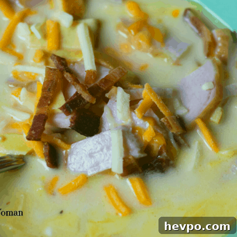 carnivore soup in blue bowl closeup