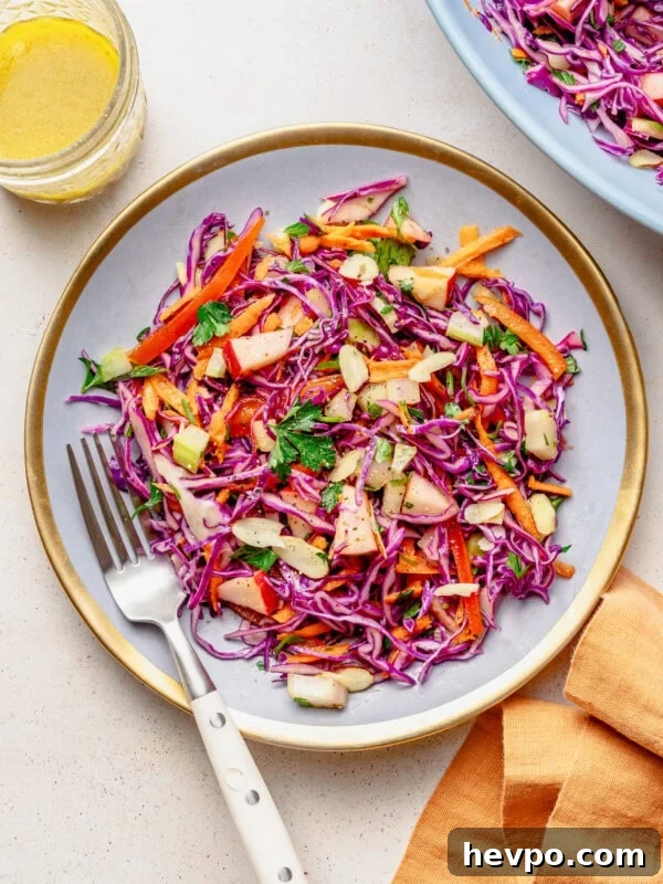 Red cabbage slaw on a plate with a fork with another plate nearby, and extra ingredients.