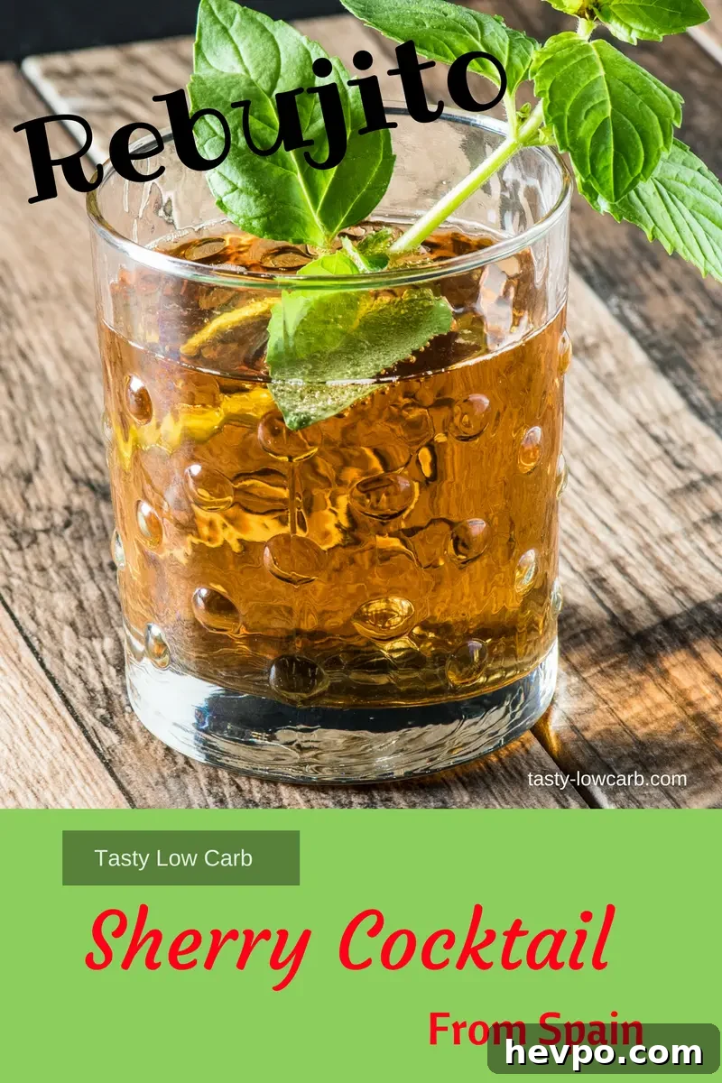 Rebujito: Refreshing Sherry Cocktail Recipe and Serving Tips 3 img 8069 2