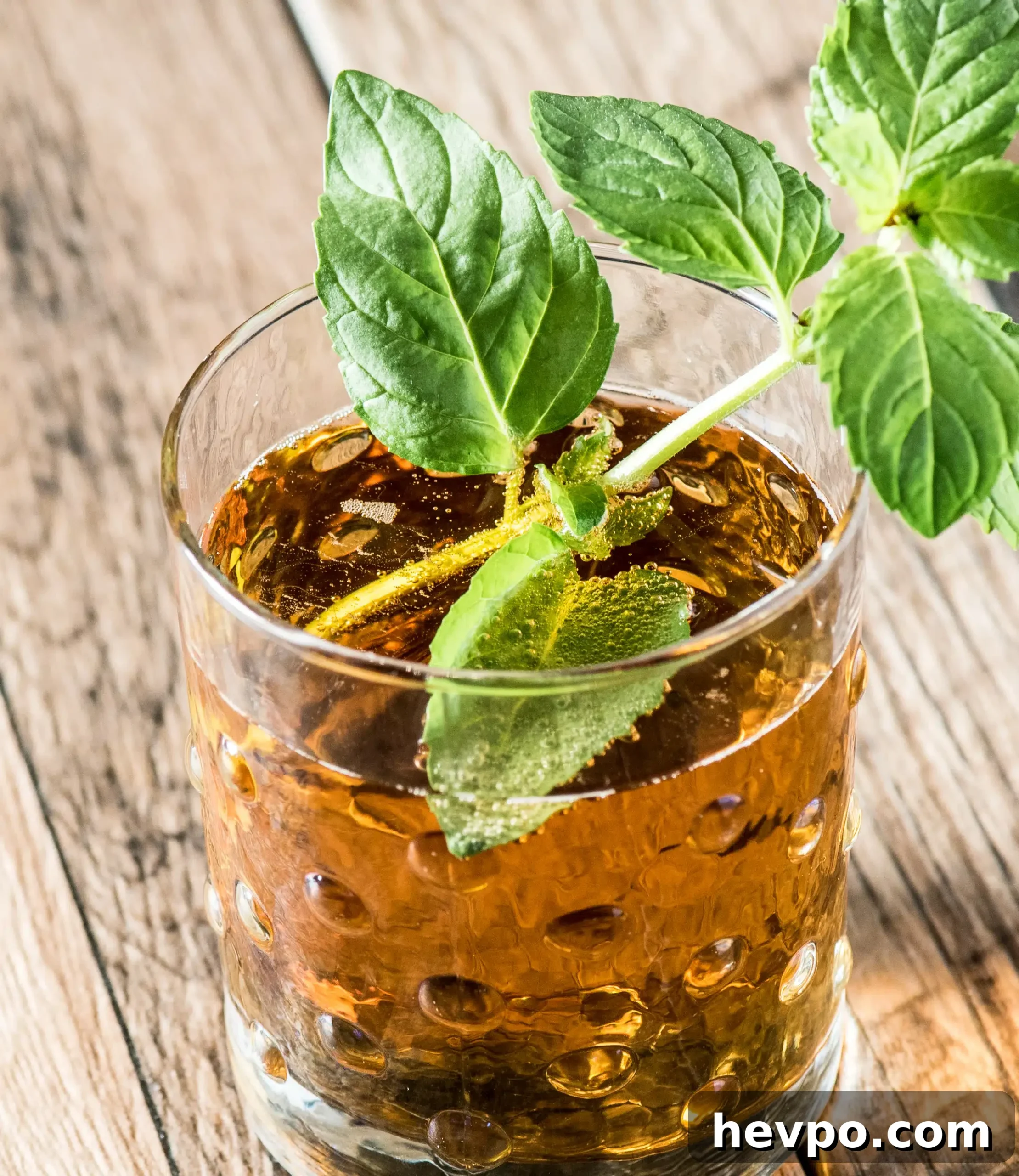 Rebujito: Refreshing Sherry Cocktail Recipe and Serving Tips 6 To show the mint leave in our rebujito cocktail