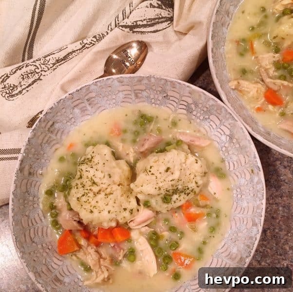 Bowl full of Creamy Chicken and Herb Dumplings