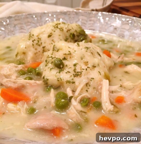 Bowl full of Chicken and dumplings