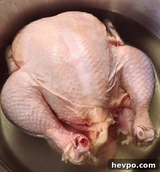 Chicken in Pot