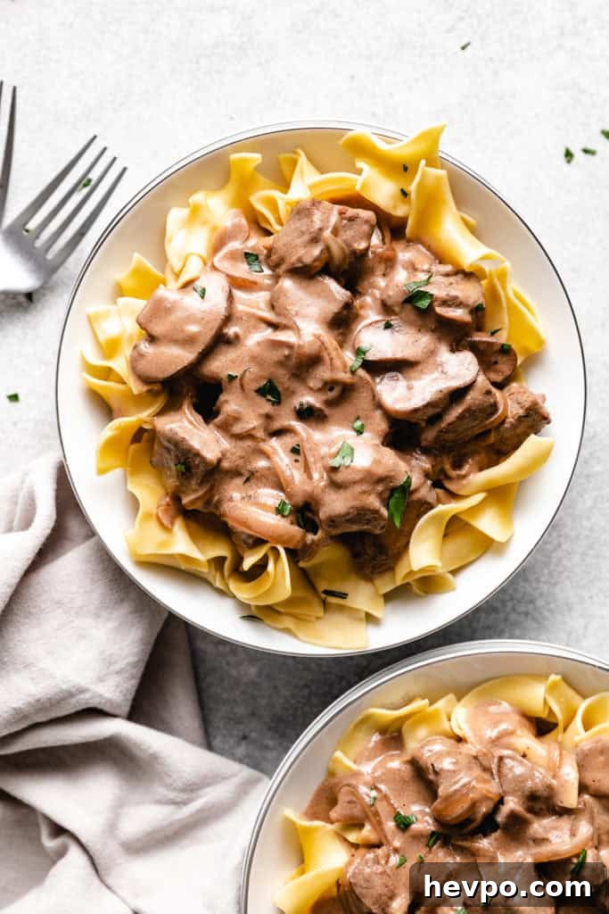 Sides to Serve with Beef Stroganoff: 15 Delicious Pairings 2 Plates of beef stroganoff.