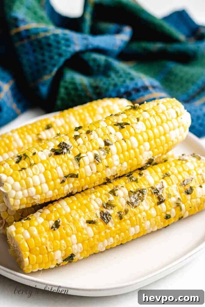 Sides to Serve with Beef Stroganoff: 15 Delicious Pairings 14 Grilled corn on the cob.