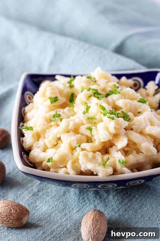 Sides to Serve with Beef Stroganoff: 15 Delicious Pairings 3 Spaetzle in a bowl.