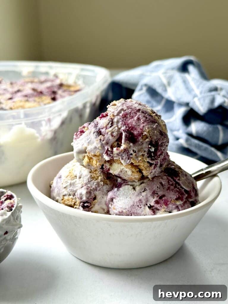 Blueberry Graham Cracker Swirl Ice Cream Recipe 2 blueberry-graham swirl ice cream in a bowl