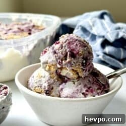 Blueberry Graham Cracker Swirl Ice Cream Recipe 4 img 83571 3