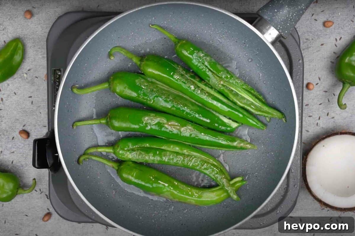 Mirchi Ka Salan (Biryani Salan) Recipe — Spicy Hyderabadi Chili Curry 4 Fried chilies.